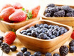 蓝莓什么品种好吃 蓝莓什么品种是好吃的