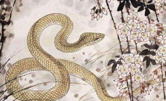 梦境解析，梦见老人去世与马变蛇咬背的象征意义