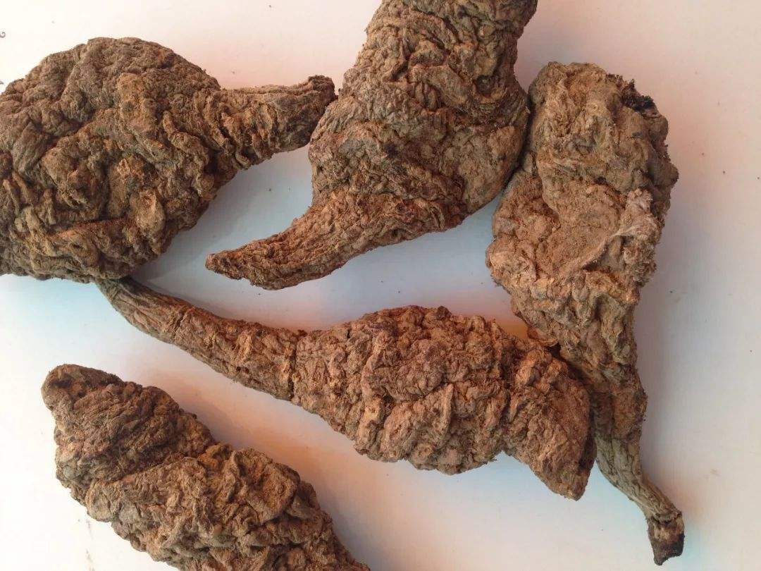 生地黄的功效与作用及食用方法 生地黄的功效与作用及食用方法介绍