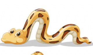 梦境解析,反复梦见打死蛇的象征意义与心理暗示 梦境解析,反复梦见打死蛇的象征意义与心理暗示